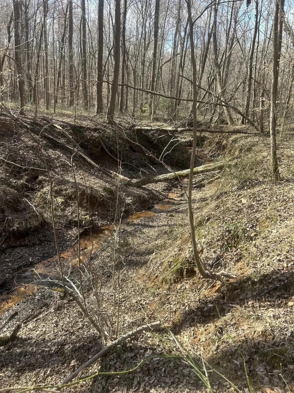 0 Mt Carmel Rd Camden, TN 38320