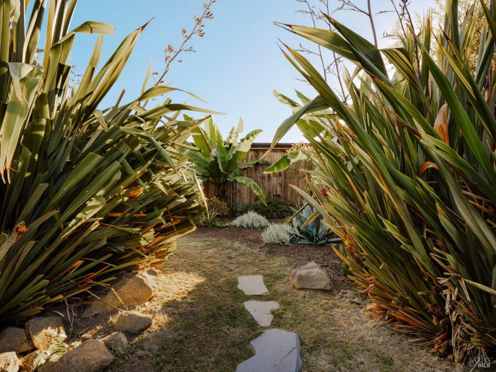 398 Dogwood Road Bolinas, CA 94924