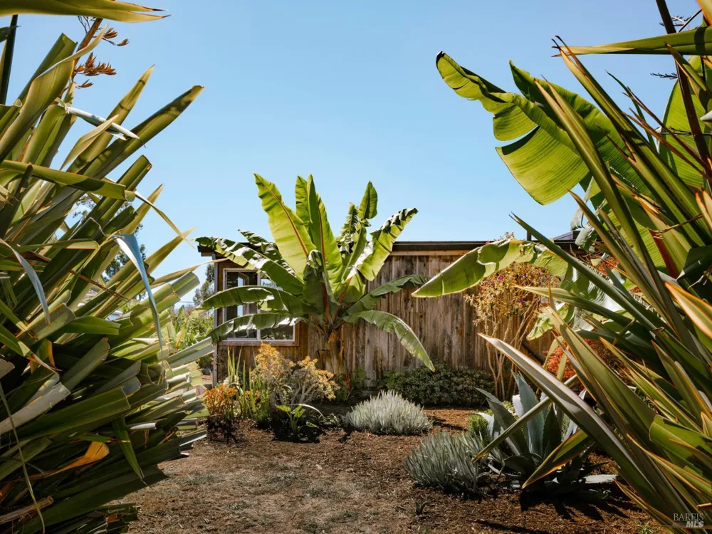 398 Dogwood Road Bolinas, CA 94924