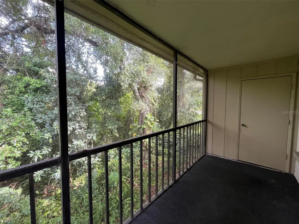 3300 FOX CHASE CIRCLE #219 Palm Harbor, FL 34683