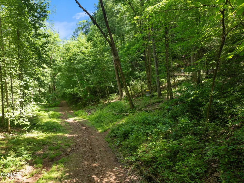 2792 Happy Hollow Road Sevierville, TN 37862