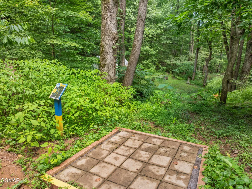 2792 Happy Hollow Road Sevierville, TN 37862