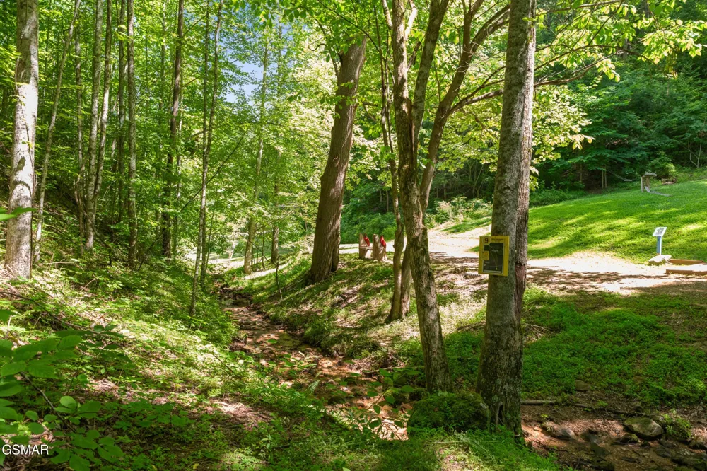 2792 Happy Hollow Road Sevierville, TN 37862