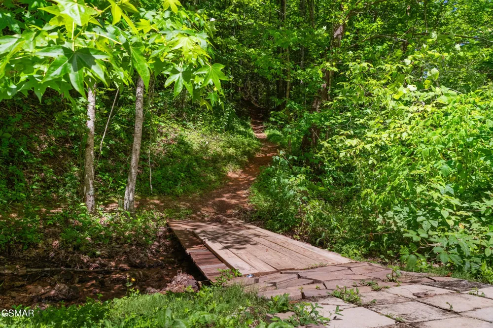 2792 Happy Hollow Road Sevierville, TN 37862
