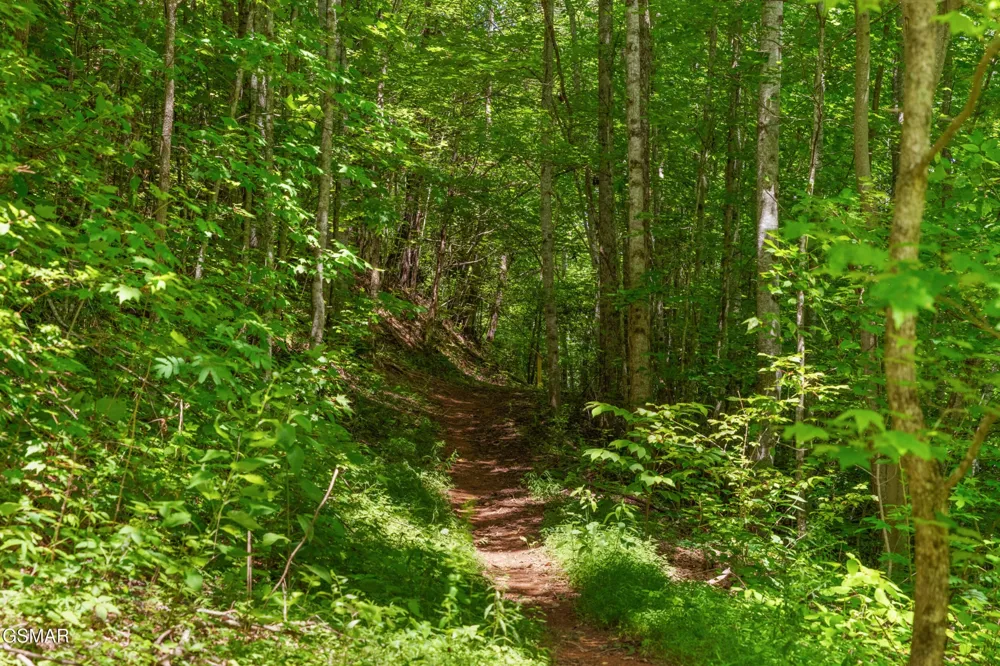 2792 Happy Hollow Road Sevierville, TN 37862