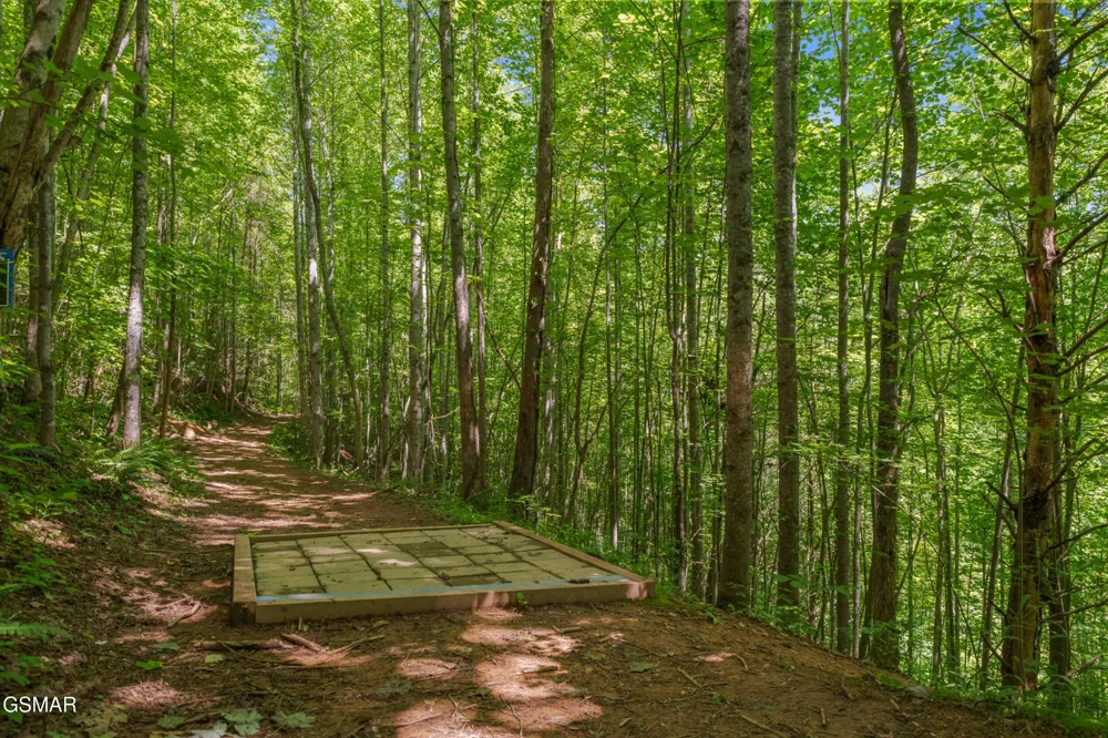 2792 Happy Hollow Road Sevierville, TN 37862