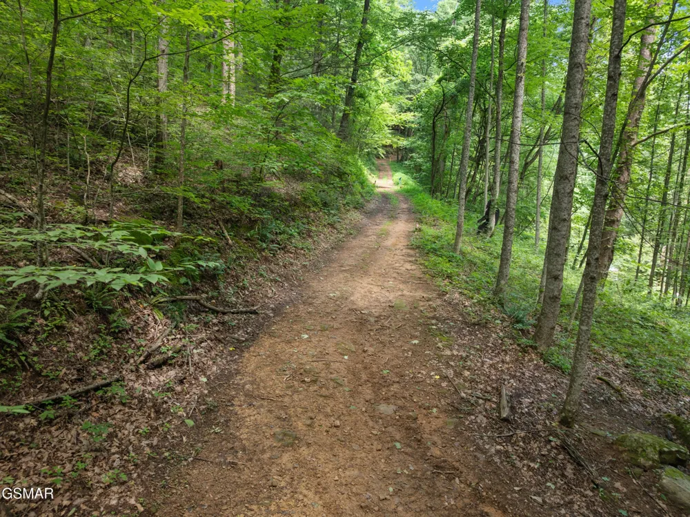 2792 Happy Hollow Road Sevierville, TN 37862