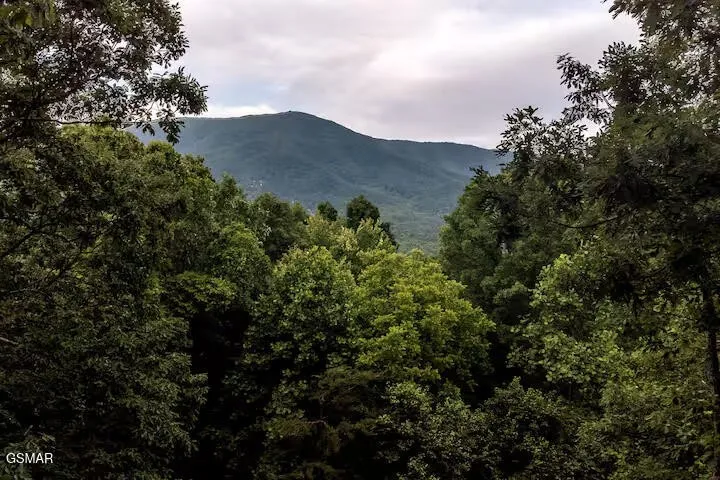 3436 Quail Way Sevierville, TN 37862