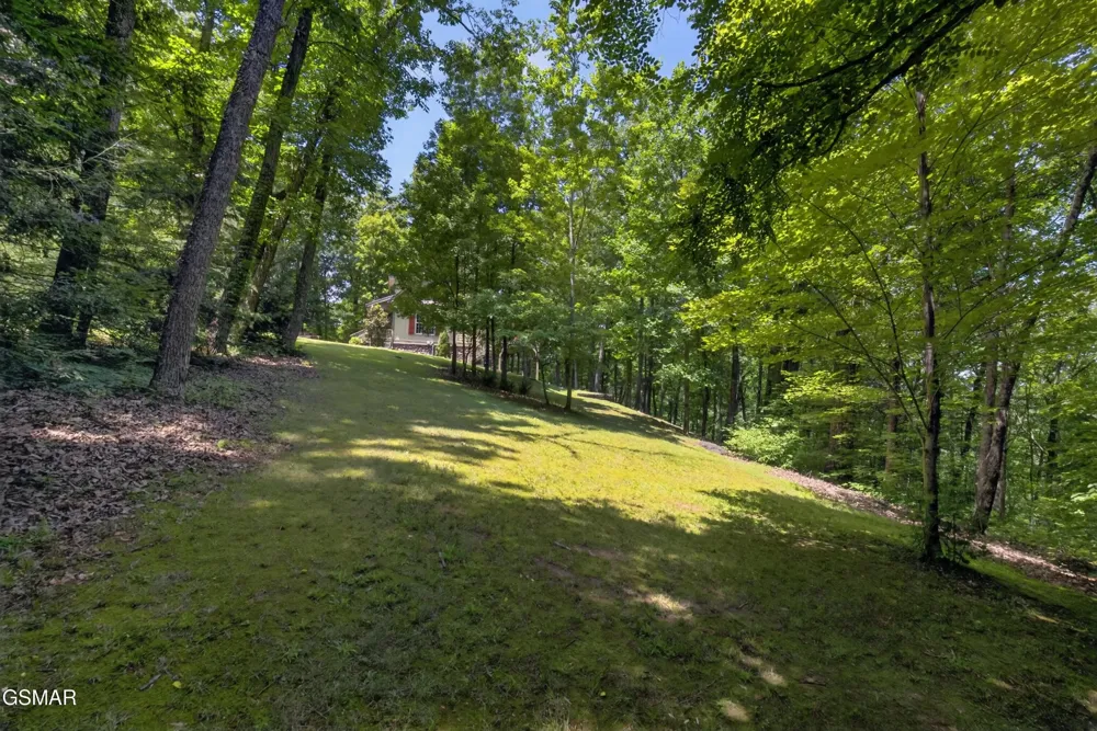 2344 Thunder Mountain Road Sevierville, TN 37862