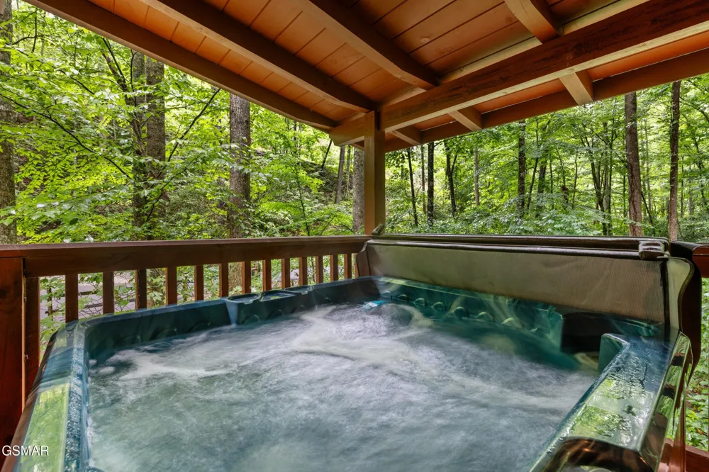 1823 Laurel Valley Way Sevierville, TN 37862
