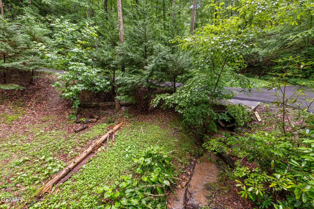 1823 Laurel Valley Way Sevierville, TN 37862