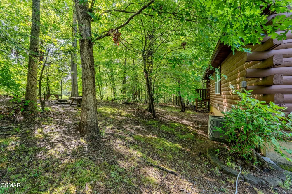 612 Magic Kingdom Lane Sevierville, TN 37862