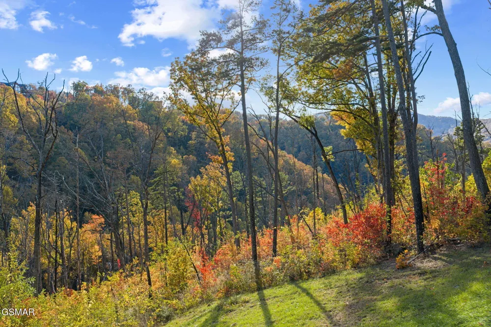 2216 Headrick Lead Sevierville, TN 37862