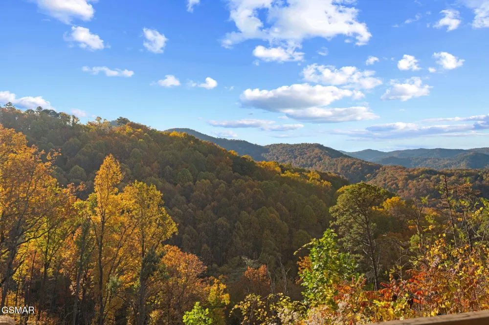 2216 Headrick Lead Sevierville, TN 37862
