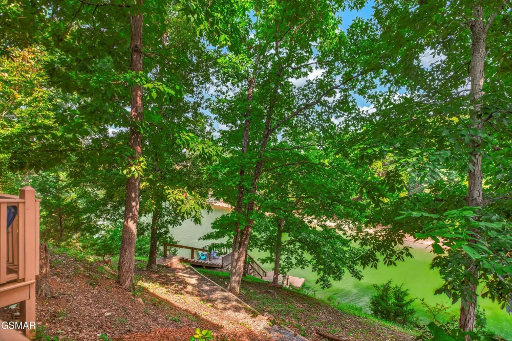 1537 Kinder Lane Dandridge, TN 37725