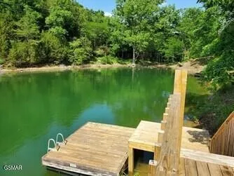 1537 Kinder Lane Dandridge, TN 37725