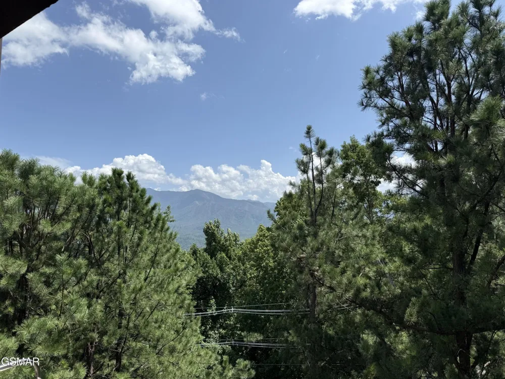 1050 Ski View Drive #108 Gatlinburg, TN 37738