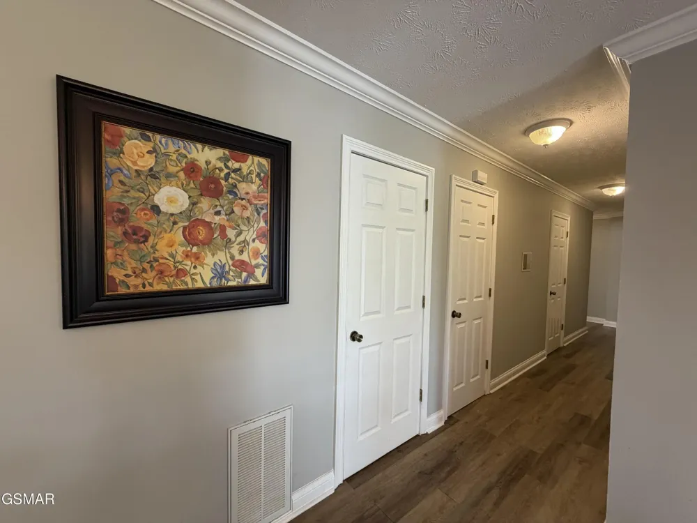 1230 Owens Lane Dandridge, TN 37725
