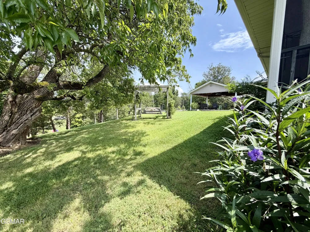 1230 Owens Lane Dandridge, TN 37725