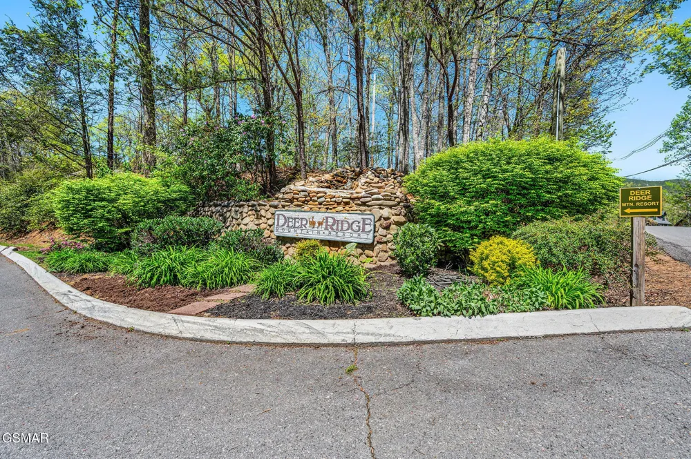 3710 Weber Road #101B Gatlinburg, TN 37738