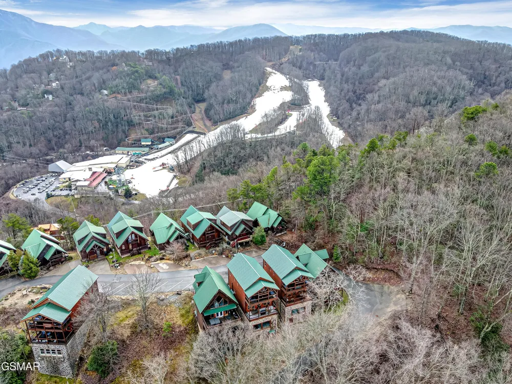 1253 Bear Cub Way Gatlinburg, TN 37738