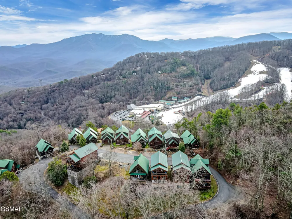 1253 Bear Cub Way Gatlinburg, TN 37738