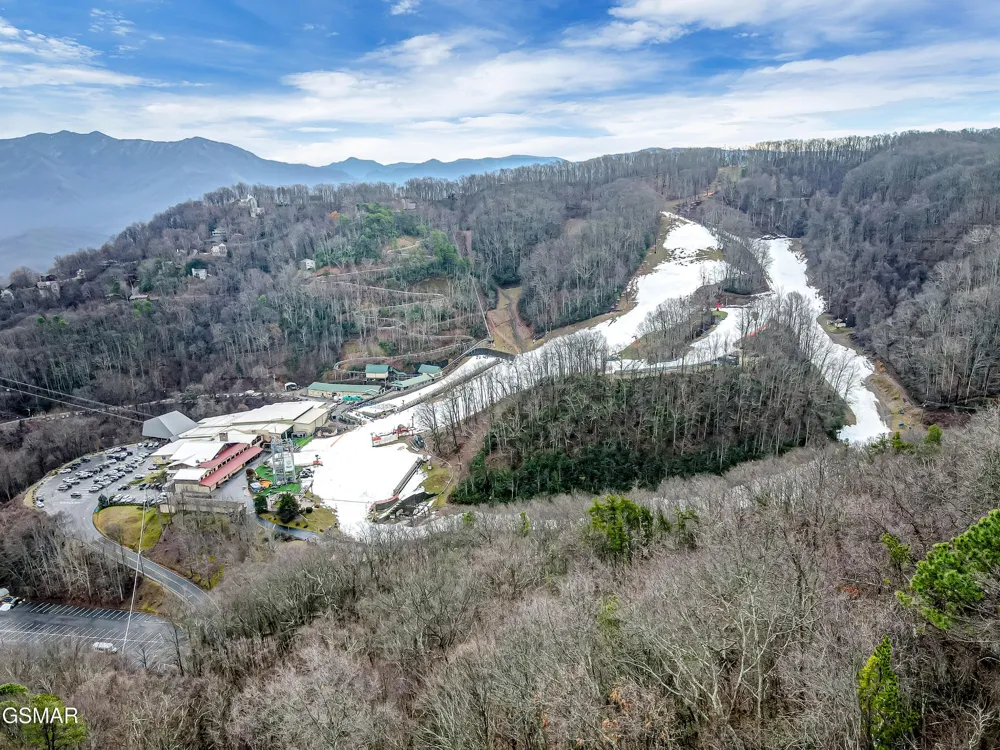 1253 Bear Cub Way Gatlinburg, TN 37738