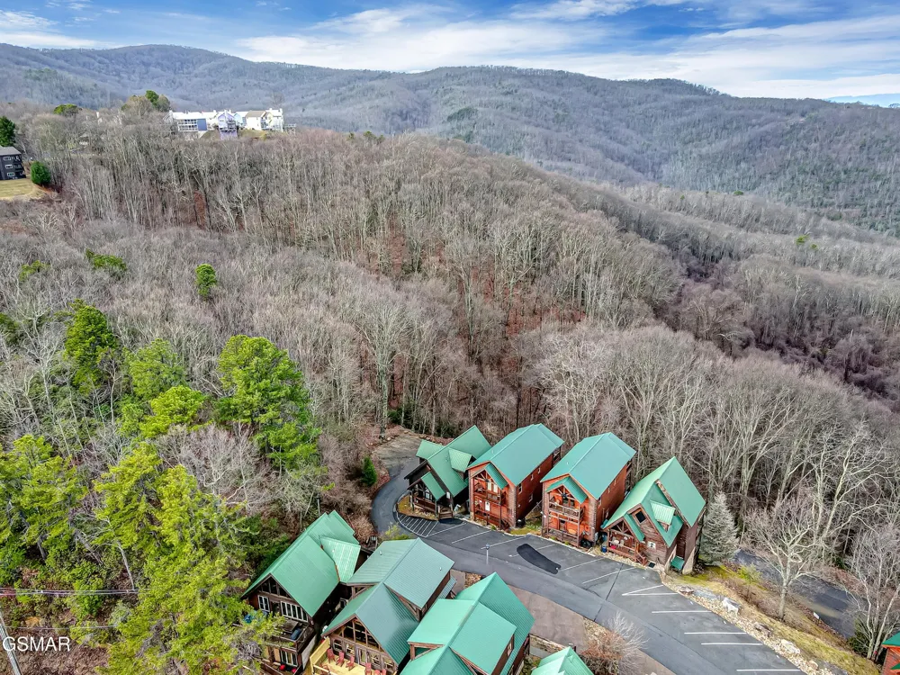 1253 Bear Cub Way Gatlinburg, TN 37738