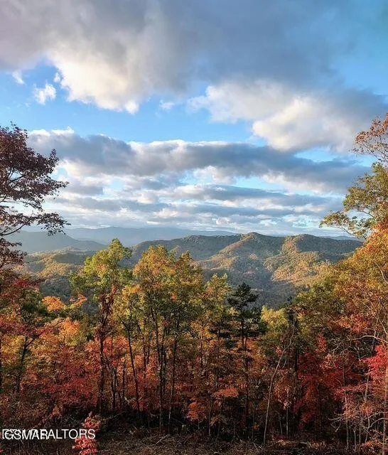 77 Flintlock Lane Sevierville, TN 37862