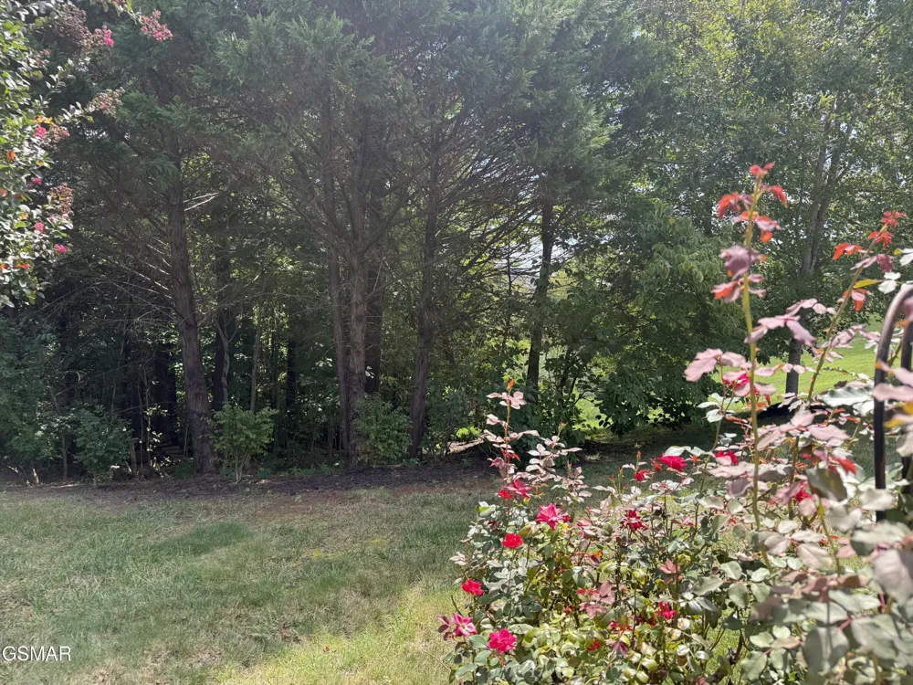 1035 Fine Glen Drive Sevierville, TN 37862