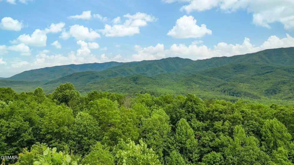 3710 Weber Road #307C Gatlinburg, TN 37738