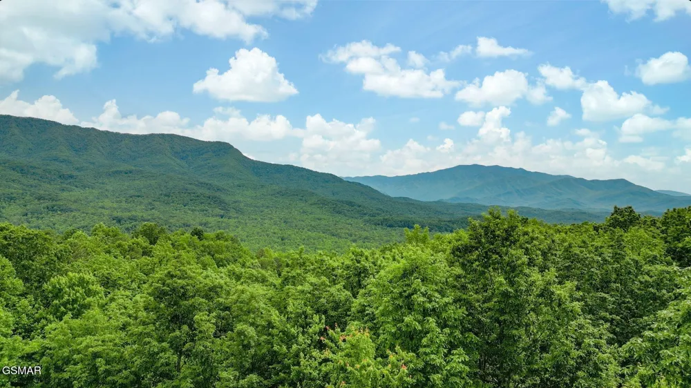 3710 Weber Road #307C Gatlinburg, TN 37738