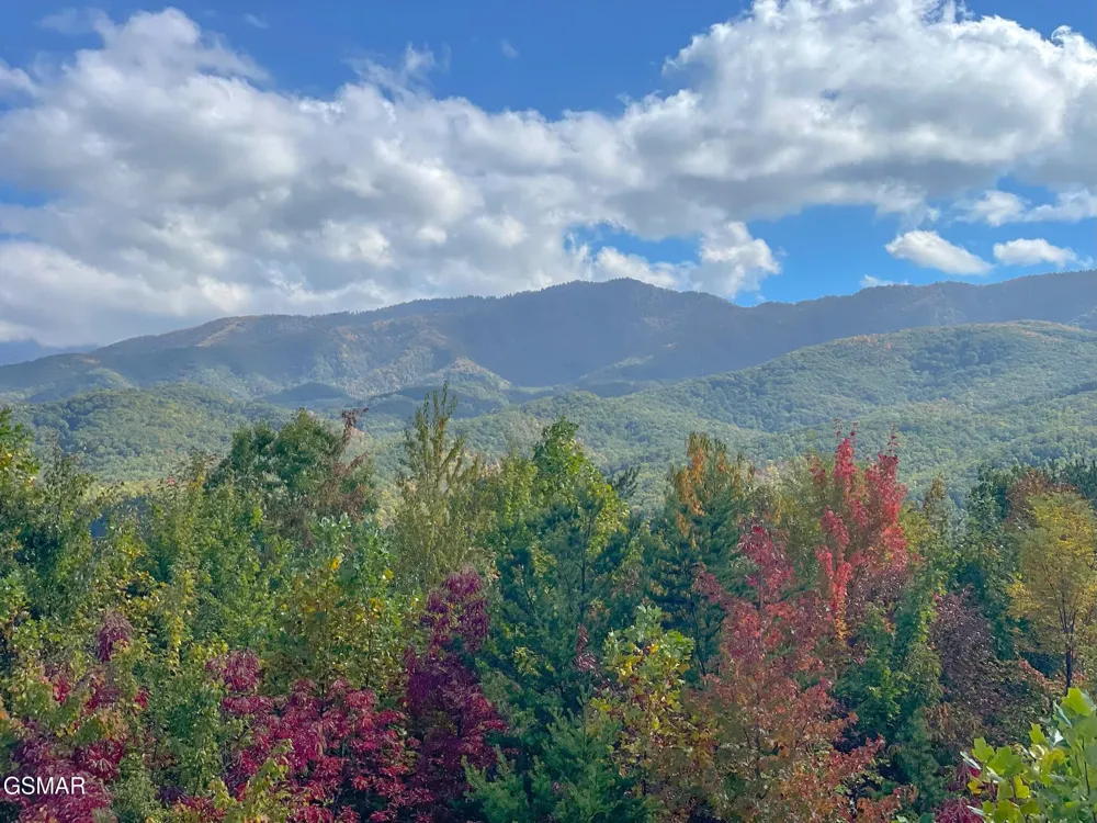 3710 Weber Road #307C Gatlinburg, TN 37738