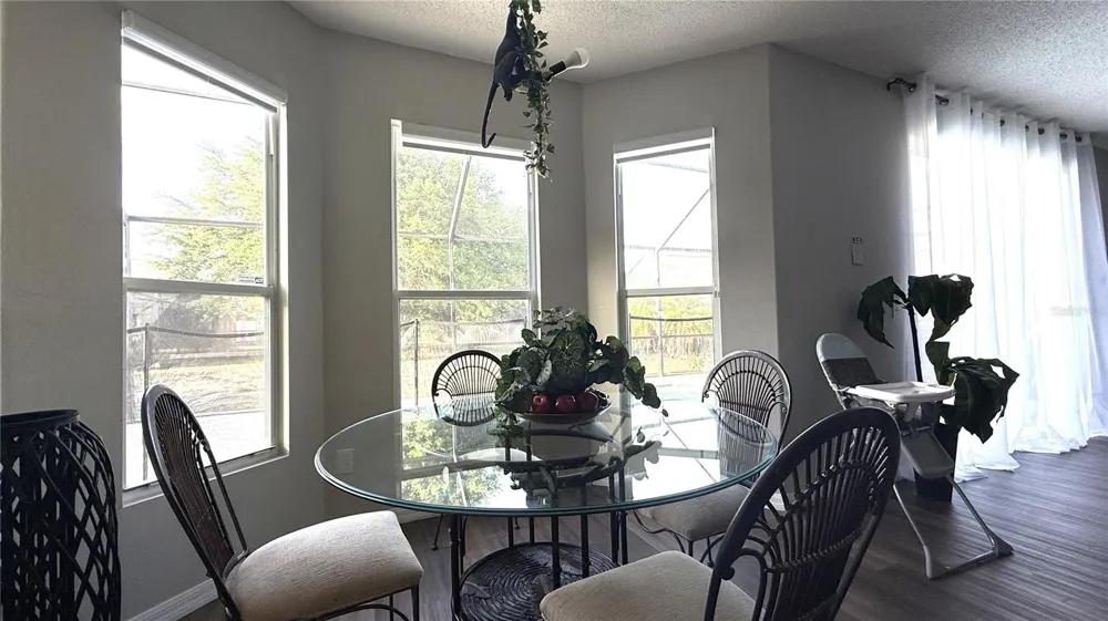 339 SIGMUND LOOP Davenport, FL 33837