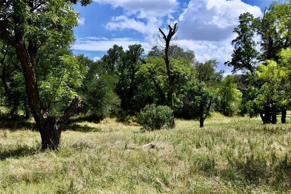 1345 PR 5001 Richland Springs, TX 76871