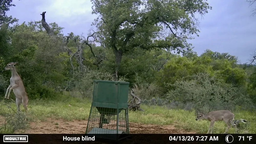 1345 PR 5001 Richland Springs, TX 76871