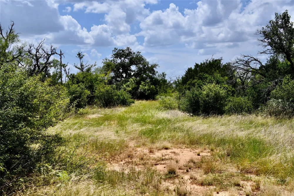 1345 PR 5001 Richland Springs, TX 76871