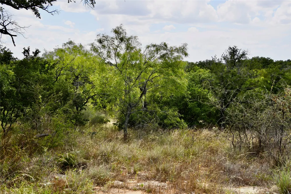 1345 PR 5001 Richland Springs, TX 76871
