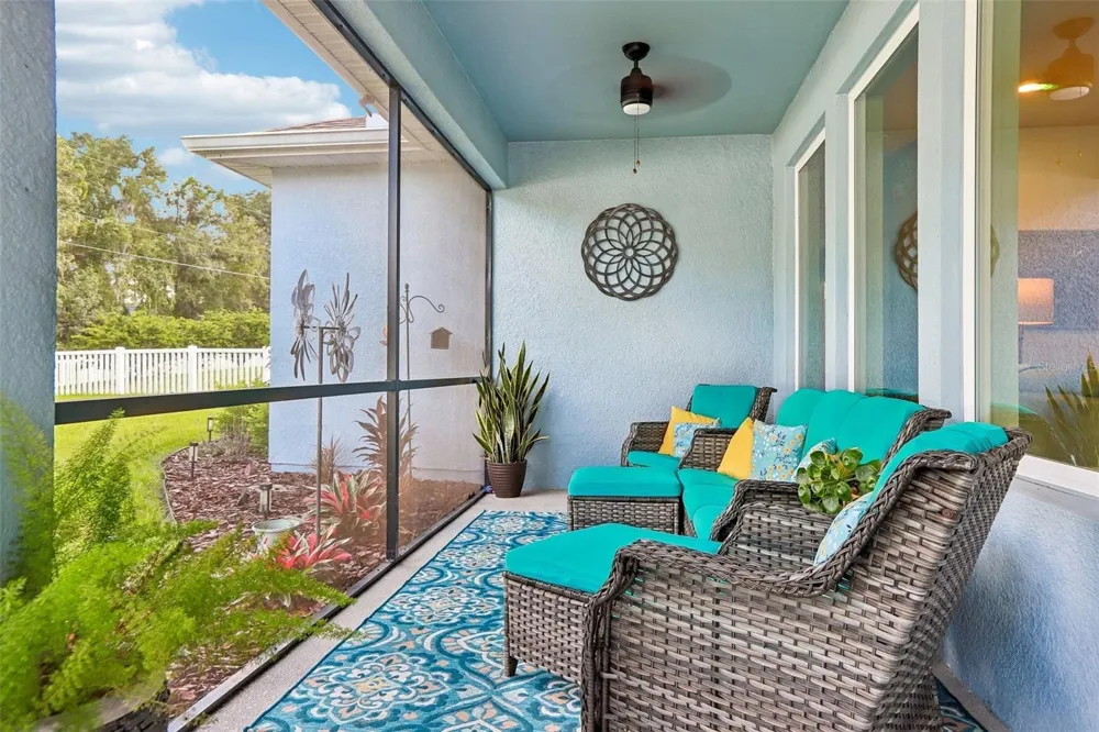 32515 CARMELA CIRCLE San Antonio, FL 33576