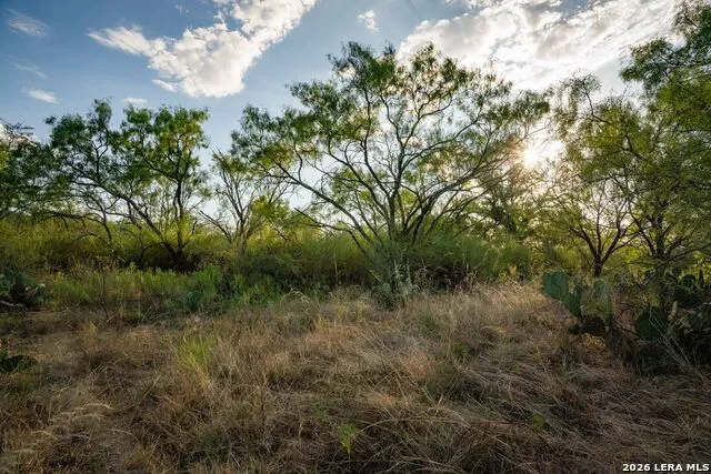 7487 Us Highway 87 Mason, TX 76856