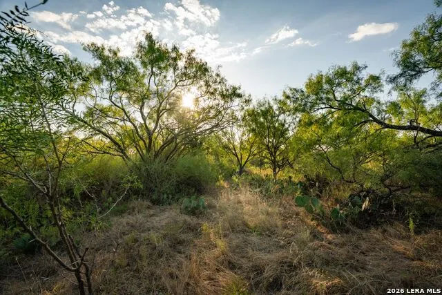 7487 Us Highway 87 Mason, TX 76856