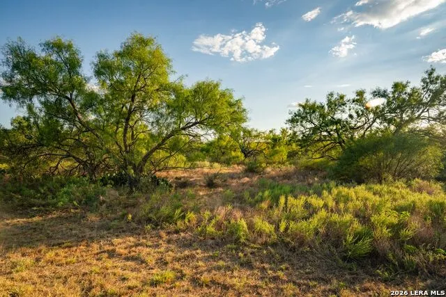 7487 Us Highway 87 Mason, TX 76856