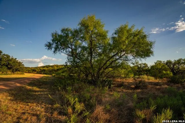 7487 Us Highway 87 Mason, TX 76856