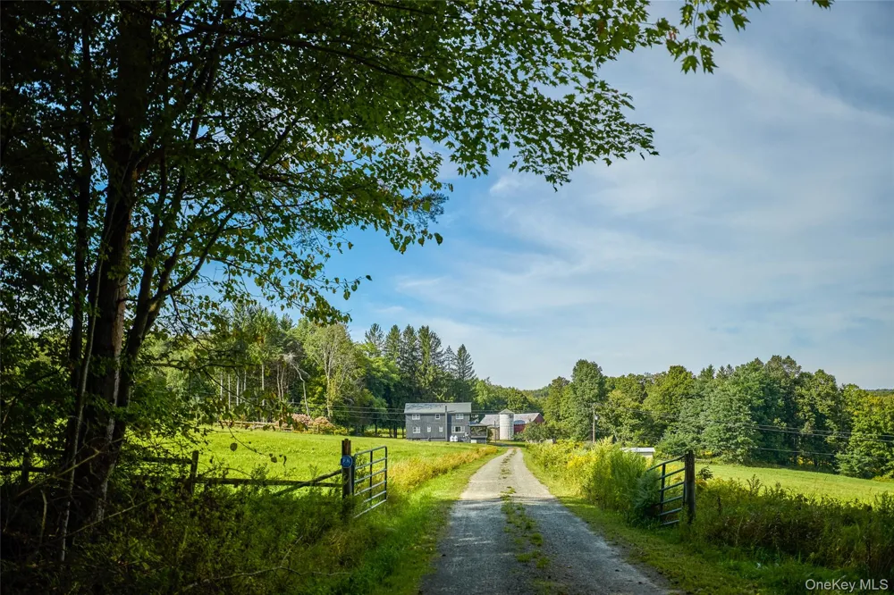 197 Weiss Road Roscoe, NY 12776