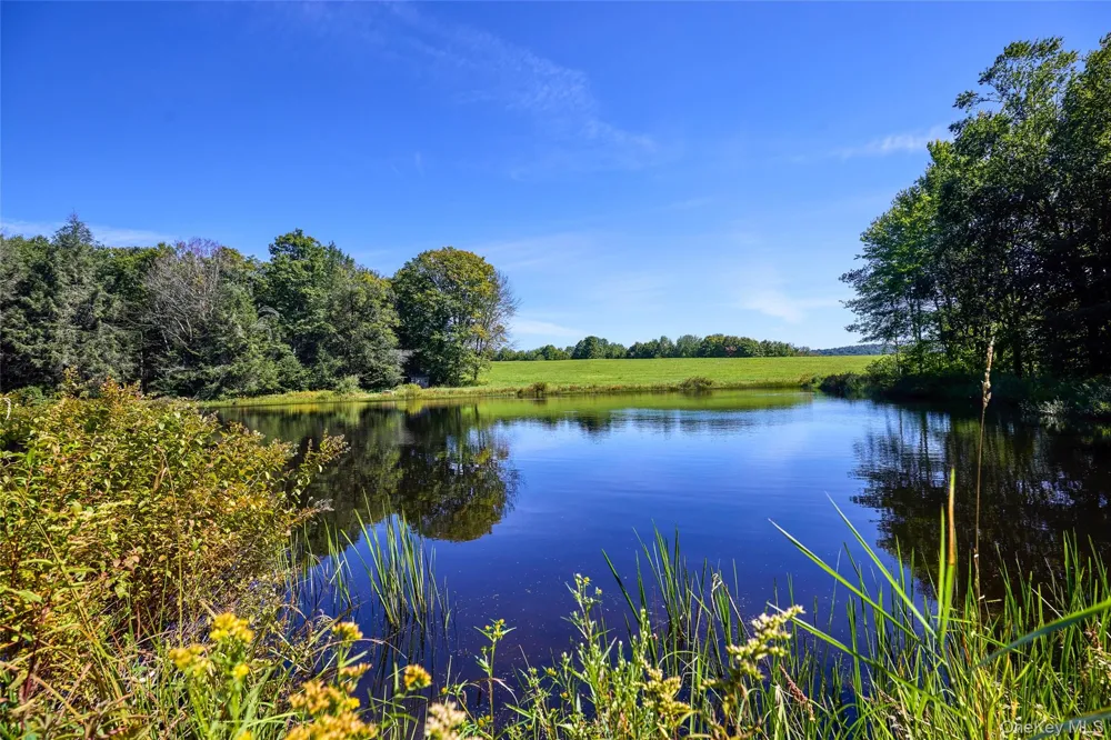 197 Weiss Road Roscoe, NY 12776
