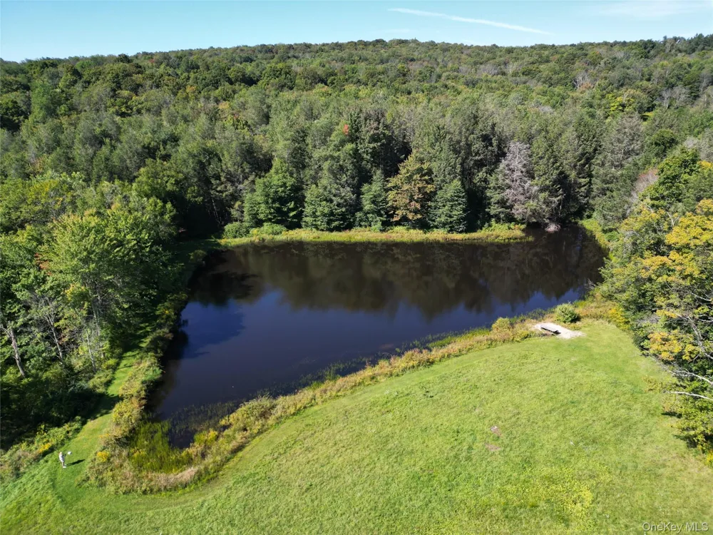 197 Weiss Road Roscoe, NY 12776