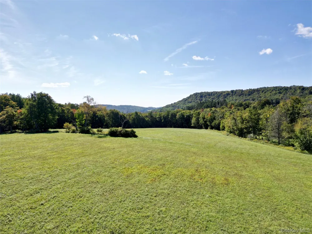 197 Weiss Road Roscoe, NY 12776