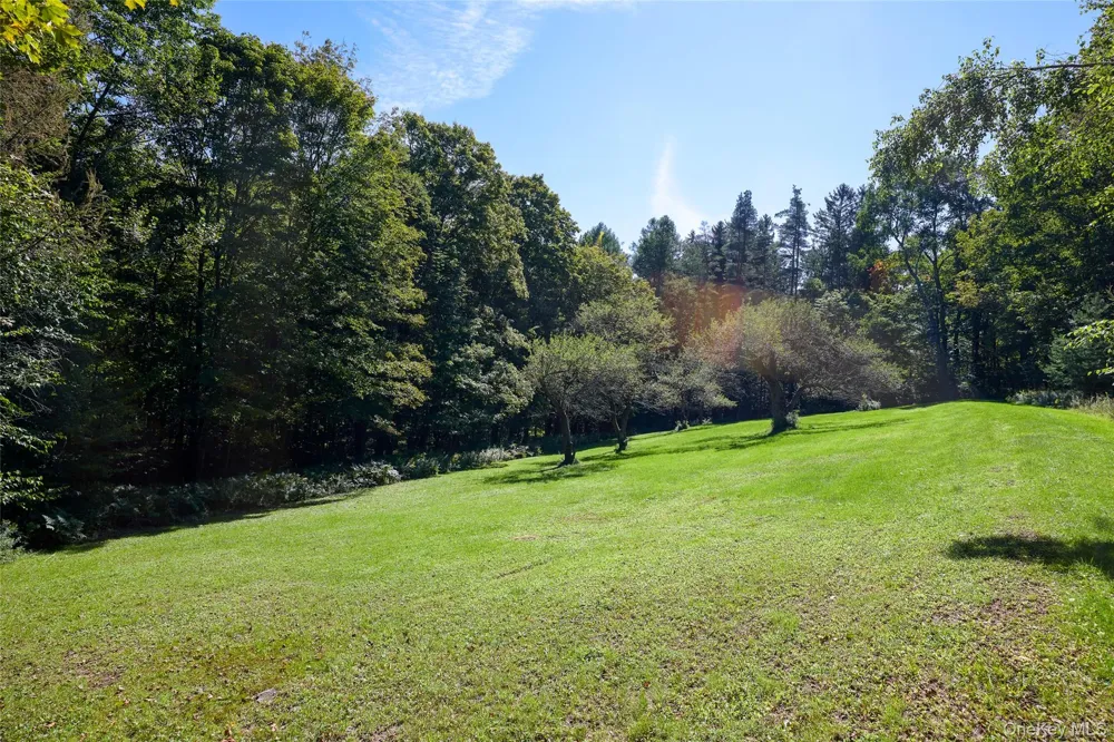 197 Weiss Road Roscoe, NY 12776