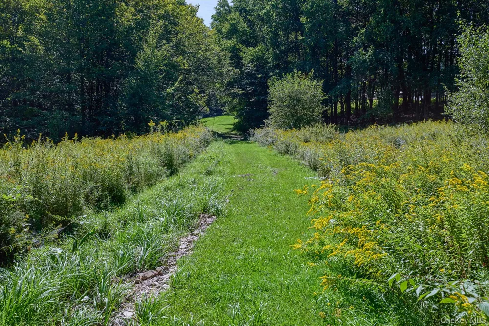197 Weiss Road Roscoe, NY 12776