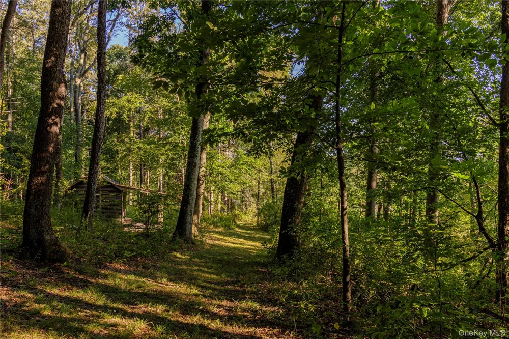 81-85 Fraleigh Hill Road Millbrook, NY 12545